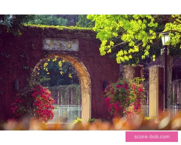 世界杯竞猜赛事走势深度解析与精准预测策略全方位指南